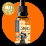 WhatsApp Image 2026-02-10 at 7.11.29 PM (2)